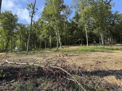 Dreaming of that slice of the lake life? This property is - photo 2