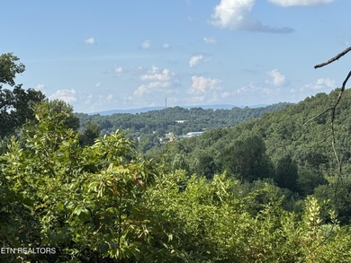 Norris Lake Acreage For Sale in New Tazewell Tennessee