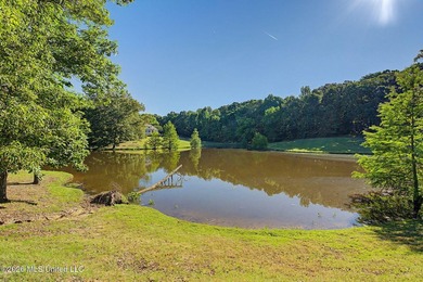 3 ACRES*INGROUND SALTWATER POOL*3 BEDROOM DETACHED APARTMENT * - photo 14