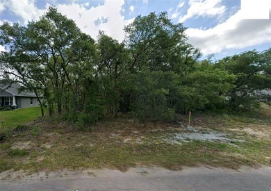 Beautiful lot with some salvable trees in Sugarmill Woods Oak - photo 1