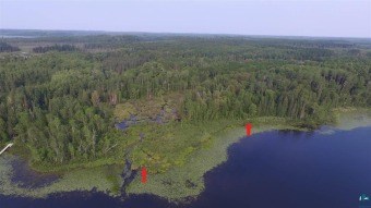 Looking for a get-away, look no further. 4.13 acre waterfront lot - Lake Lot For Sale in Effie, Minnesota