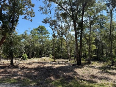 Suwannee River Lot For Sale in Old Town Florida