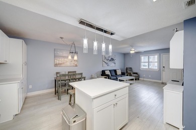 Fully furnished and completely move-in ready, this home features - photo 10