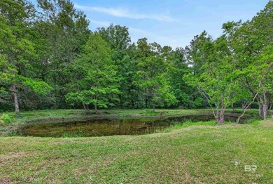 Experience the best of both worlds-peaceful country living with - photo 8
