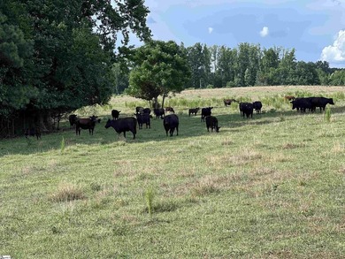 WOW!!! One of the most beautiful Farms left! UN-ZONED...NO - photo 13