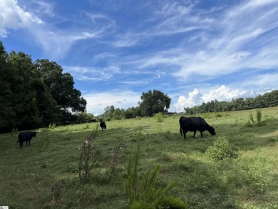 WOW!!! One of the most beautiful Farms left! UN-ZONED...NO - photo 17