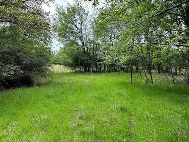 Beautiful Unrestricted Acreage on Lake Limestone! Discover the - photo 3
