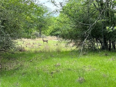 Beautiful Unrestricted Acreage on Lake Limestone! Discover the - photo 4