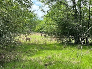 Beautiful Unrestricted Acreage on Lake Limestone! Discover the - photo 5