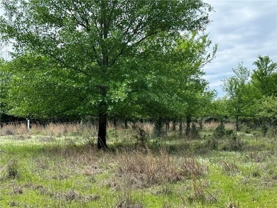 Beautiful Unrestricted Acreage on Lake Limestone! Discover the - photo 6