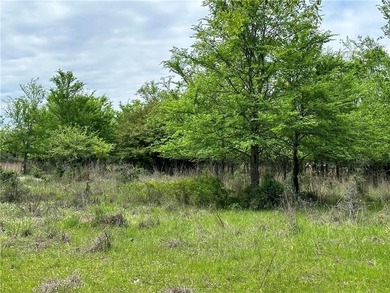 Beautiful Unrestricted Acreage on Lake Limestone! Discover the - photo 7