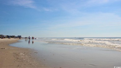 Final Opportunities at The Cove at Glenns Bay! This BRAND-NEW - photo 15
