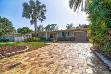 Lake Home For Sale in St. Petersburg, Florida
