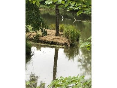 Coneross Creek Reservoir Lot For Sale in Walhalla South Carolina