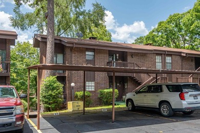 Immaculate 2-bedroom, 2-bath condo with stunning Lake Hamilton - photo 37