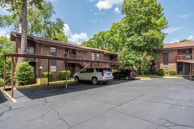 Immaculate 2-bedroom, 2-bath condo with stunning Lake Hamilton - photo 38
