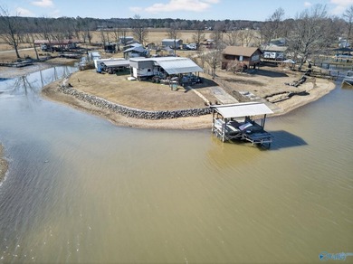 **OWNER FINANCING IS A OPTION**** Experience Lake living at its - photo 44
