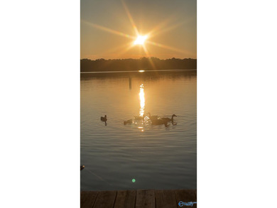 **OWNER FINANCING IS A OPTION**** Experience Lake living at its - photo 45
