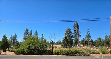 Magalia Lake  Lot For Sale in Magalia California