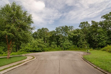 Lake Lot For Sale in Soddy Daisy, Tennessee