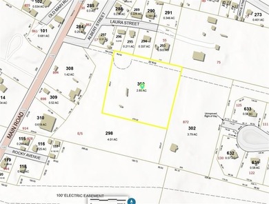 Serene 2.85-acre rear lot zoned R60, set back from Main Road in - photo 2
