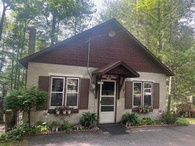 Lake Home For Sale in Wabeno, Wisconsin