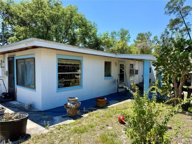 Lake Home For Sale in Paisley, Florida