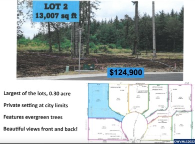 Foster Lake Lot For Sale in Sweet Home Oregon