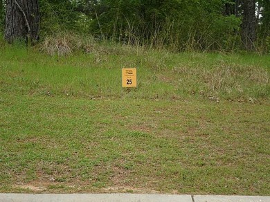 See - photo 1
