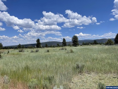 Lake Lot Off Market in Chiloquin, Oregon