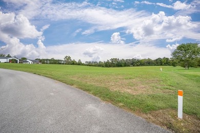 This custom built one level home is situated on a peaceful 13.04 - photo 36