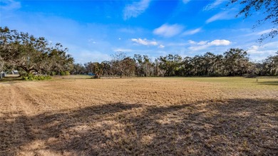 PRICED TO SELL!! ATTENTION BUILDERS and HOMEOWNERS! Beautiful - photo 7