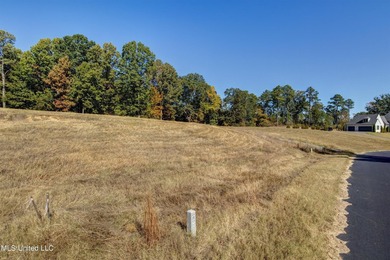 Situated within the gated community of Gray's Creek, this nearly - photo 13
