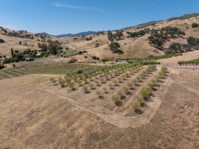 Waterfront Ranch in Solano County, CA for Sale - 128 Acres - photo 26