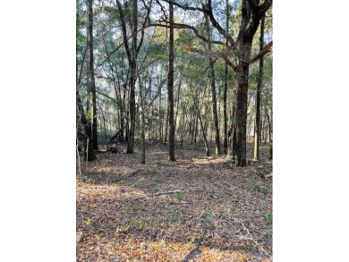Lake Lot For Sale in Ft. Gaines, Georgia