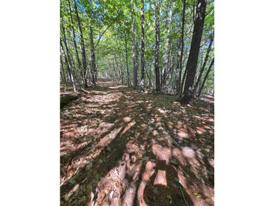 Additional listing photo 1
