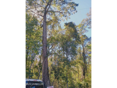 Biloxi River - Harrison County Lot For Sale in Gulfport Mississippi