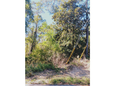 Waterfront/ one acre lot at the end of a canal (named Half Moon - photo 4