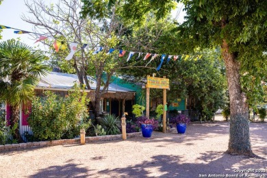The Tropics of the Islands in the Texas Hill Country. Toucan - photo 3