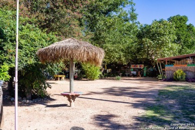 The Tropics of the Islands in the Texas Hill Country. Toucan - photo 9