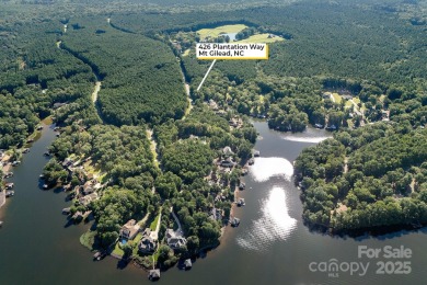 Lake Lot For Sale in Mount Gilead, North Carolina