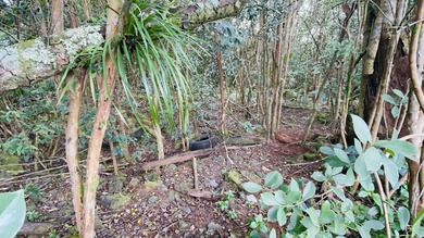 Enjoy building your dream home on this lush undeveloped 1 Acre - photo 21