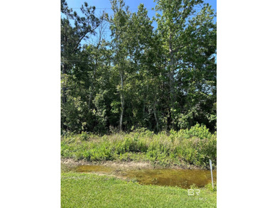Bayfront opportunity-0.74-acre lot just south of Mary Ann Beach - photo 3