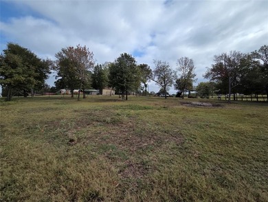 Lake Lot For Sale in Malakoff, Texas