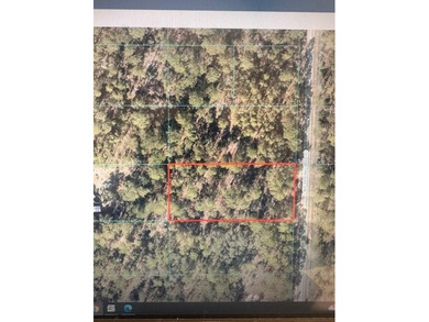 Bonable Lake Lot For Sale in Dunnellon Florida