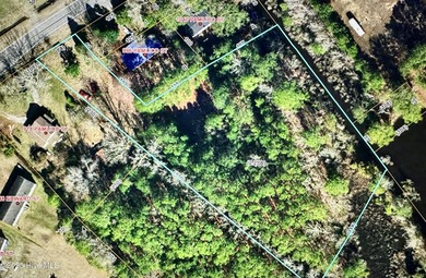 Pungo River - Beaufort County Acreage For Sale in Belhaven North Carolina