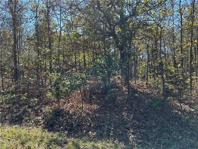 Discover 11 m/l wooded acres with gently rolling terrain - an - photo 11
