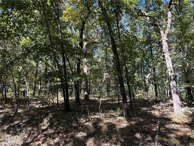 Discover 11 m/l wooded acres with gently rolling terrain - an - photo 12