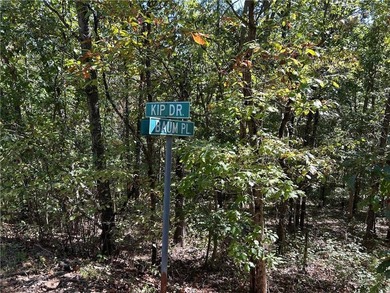 Discover 11 m/l wooded acres with gently rolling terrain - an - photo 13