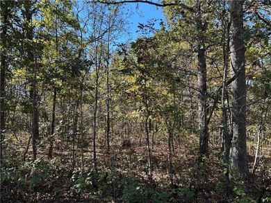 Discover 11 m/l wooded acres with gently rolling terrain - an - photo 14
